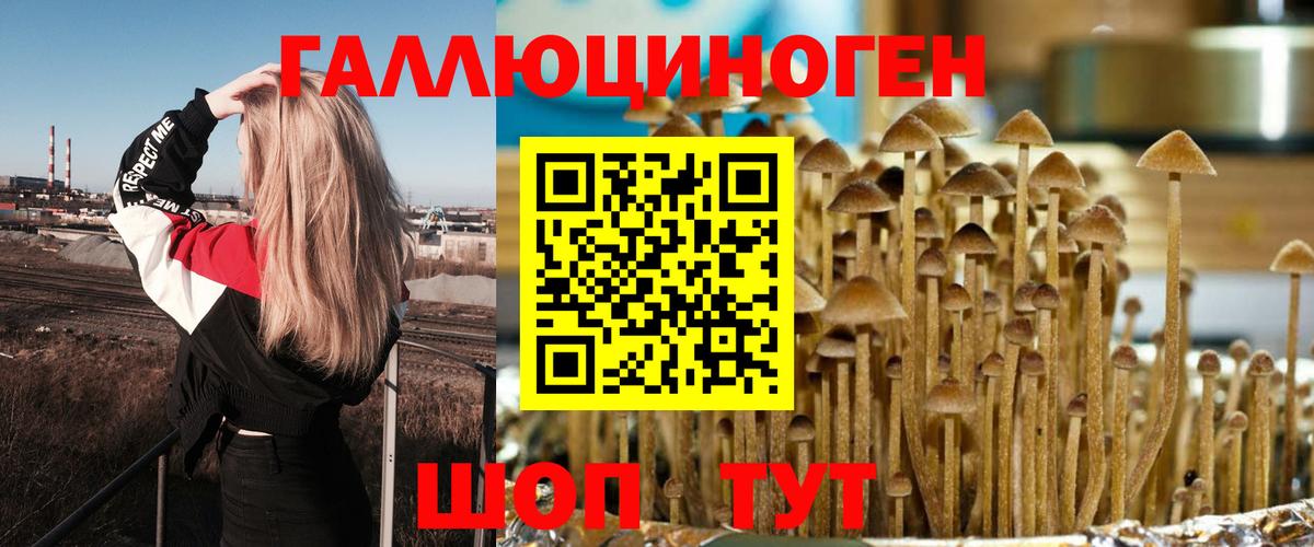 Псилоцибиновые грибы мухоморы Сальск