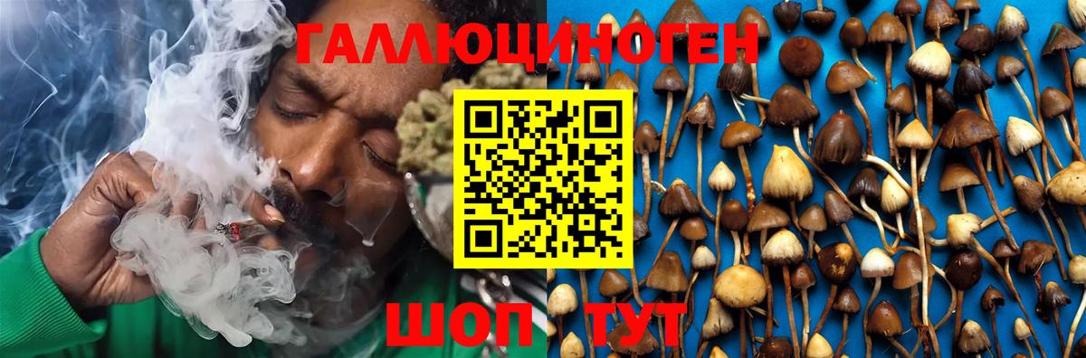 Галлюциногенные грибы Magic Shrooms  Вход с VPN  Сальск 